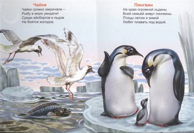 Стишата о зверятах